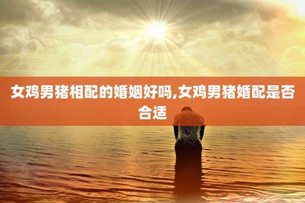 女鸡男猪相配的婚姻好吗,女鸡男猪婚配是否合适