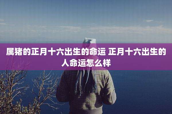 属猪的正月十六出生的命运 正月十六出生的人命运怎么样