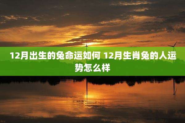 12月出生的兔命运如何 12月生肖兔的人运势怎么样