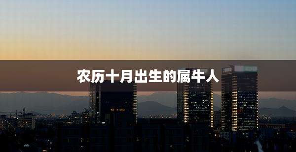 农历十月出生的属牛人