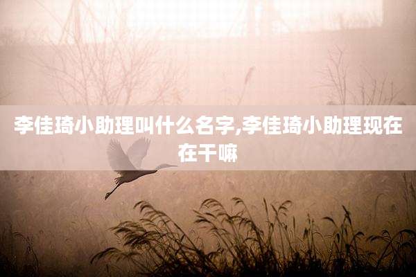 李佳琦小助理叫什么名字,李佳琦小助理现在在干嘛