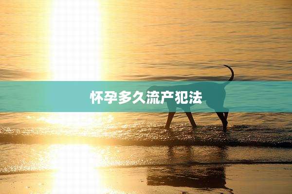 怀孕多久流产犯法