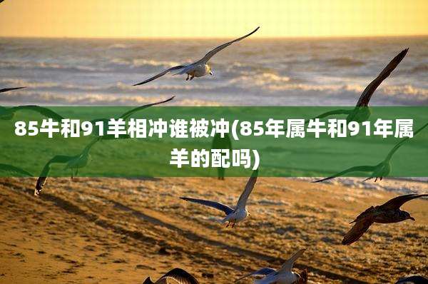 85牛和91羊相冲谁被冲(85年属牛和91年属羊的配吗)