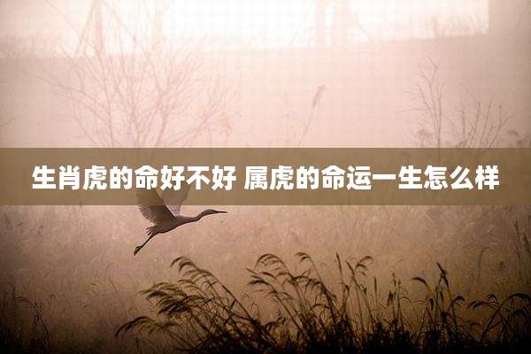生肖虎的命好不好 属虎的命运一生怎么样