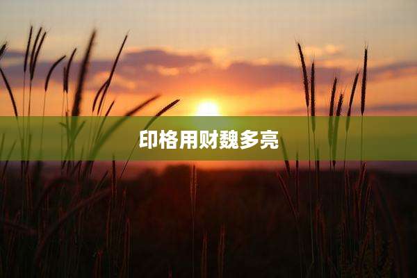 印格用财魏多亮