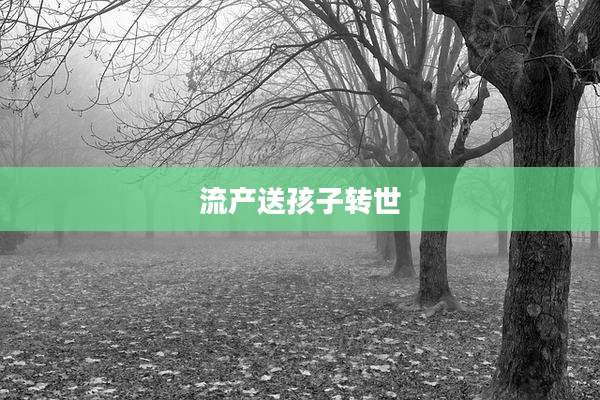 流产送孩子转世