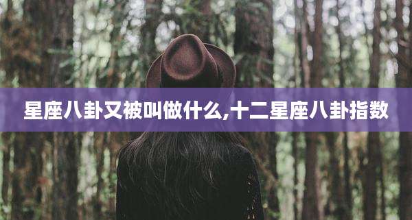 星座八卦又被叫做什么,十二星座八卦指数
