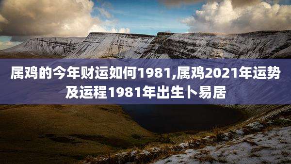 属鸡的今年财运如何1981,属鸡2021年运势及运程1981年出生卜易居