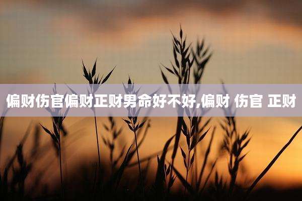 偏财伤官偏财正财男命好不好,偏财 伤官 正财