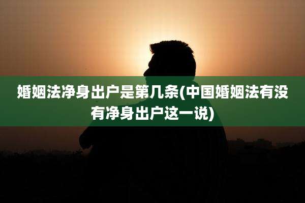 婚姻法净身出户是第几条(中国婚姻法有没有净身出户这一说)