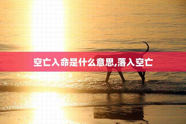 空亡入命是什么意思,落入空亡