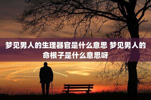 梦见男人的生理器官是什么意思 梦见男人的命根子是什么意思呀