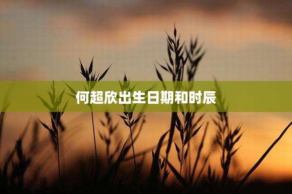 何超欣出生日期和时辰