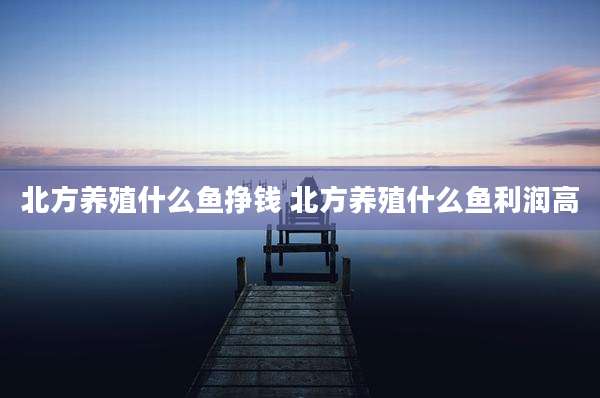 北方养殖什么鱼挣钱 北方养殖什么鱼利润高