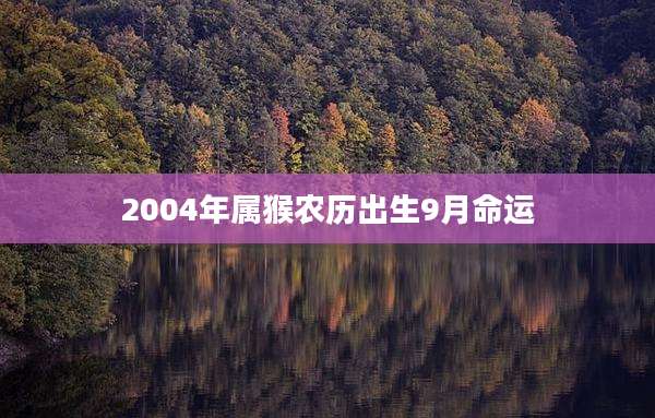 2004年属猴农历出生9月命运