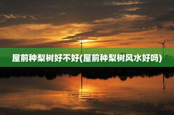 屋前种梨树好不好(屋前种梨树风水好吗)