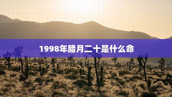 1998年腊月二十是什么命