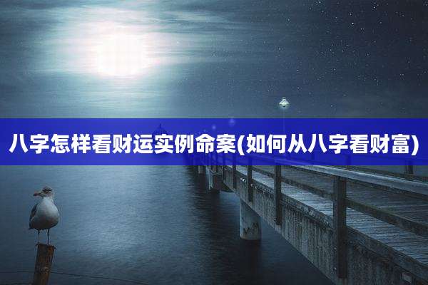 八字怎样看财运实例命案(如何从八字看财富)