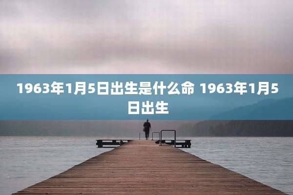 1963年1月5日出生是什么命 1963年1月5日出生