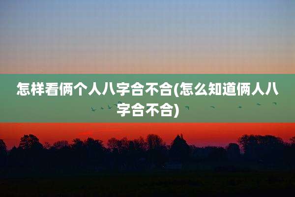 怎样看俩个人八字合不合(怎么知道俩人八字合不合)
