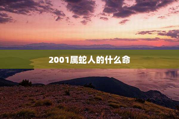 2001属蛇人的什么命