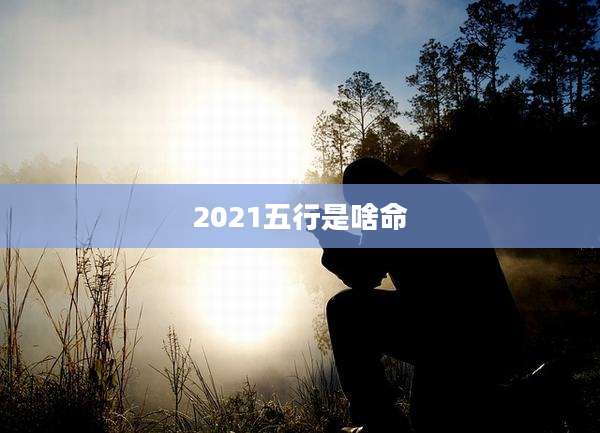 2021五行是啥命