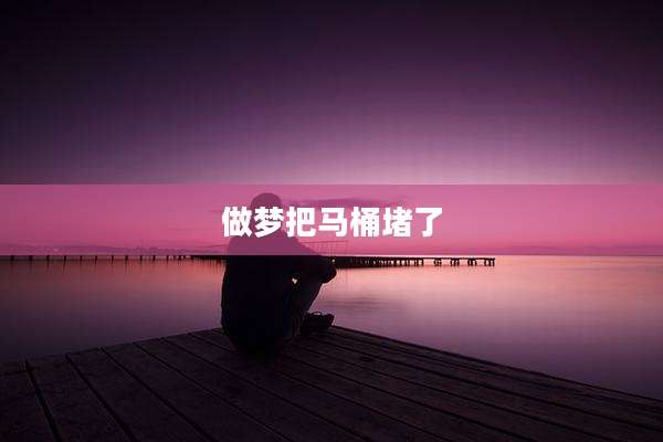 做梦把马桶堵了