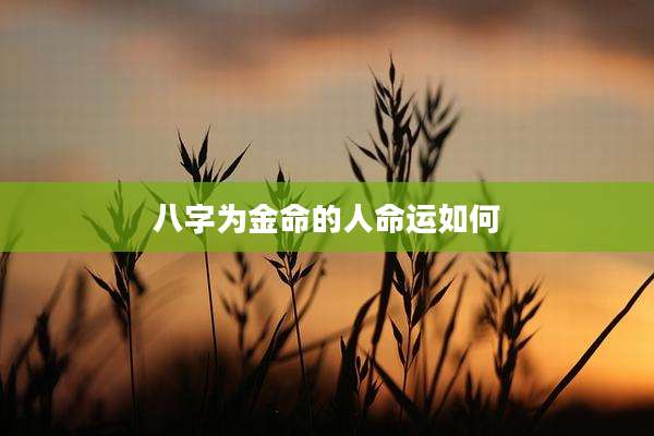 八字为金命的人命运如何