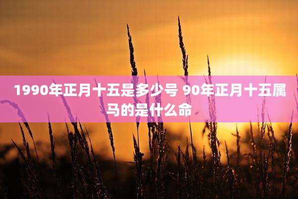 1990年正月十五是多少号 90年正月十五属马的是什么命