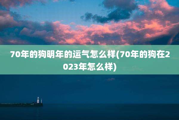 70年的狗明年的运气怎么样(70年的狗在2023年怎么样)