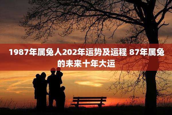 1987年属兔人202年运势及运程 87年属兔的未来十年大运