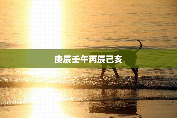 庚辰壬午丙辰己亥