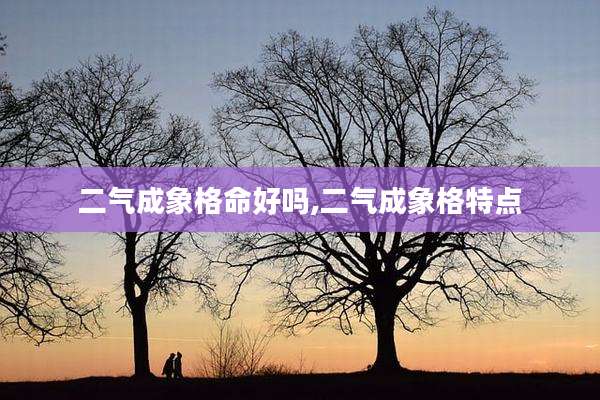 二气成象格命好吗,二气成象格特点