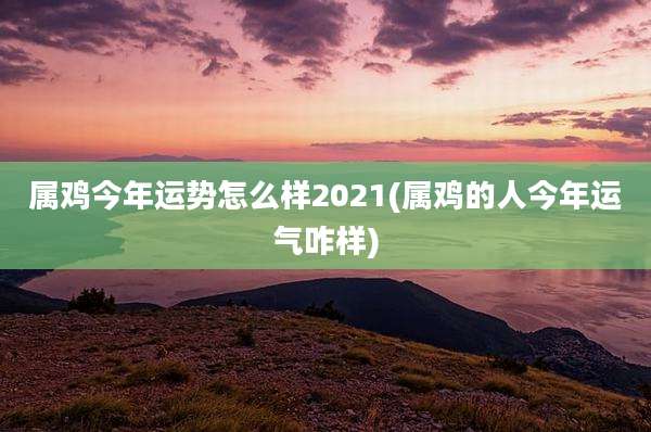 属鸡今年运势怎么样2021(属鸡的人今年运气咋样)