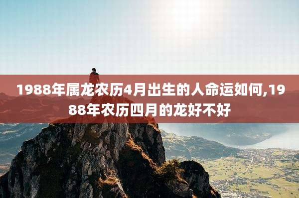 1988年属龙农历4月出生的人命运如何,1988年农历四月的龙好不好