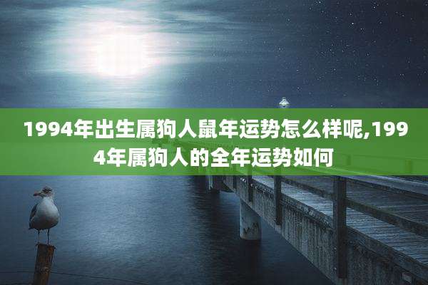 1994年出生属狗人鼠年运势怎么样呢,1994年属狗人的全年运势如何