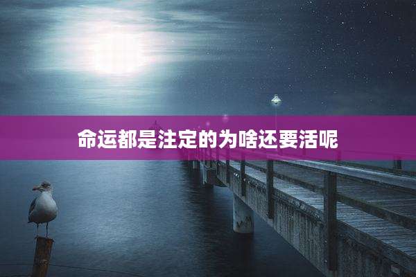 命运都是注定的为啥还要活呢