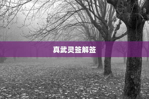 真武灵签解签