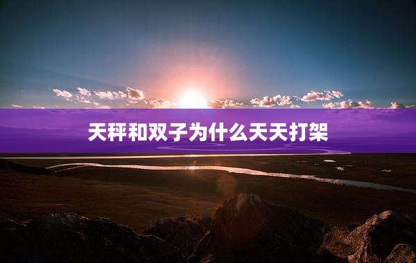 天秤和双子为什么天天打架