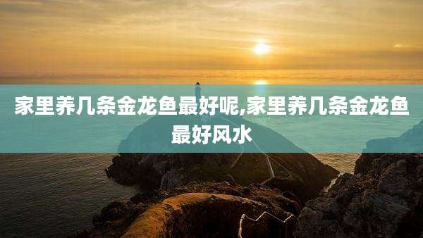 家里养几条金龙鱼最好呢,家里养几条金龙鱼最好风水
