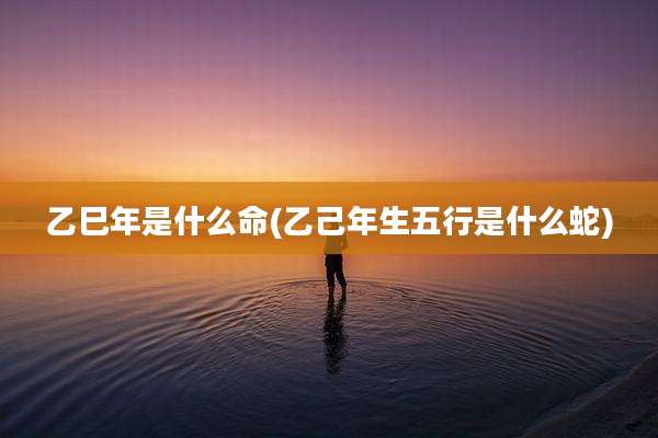 乙巳年是什么命(乙己年生五行是什么蛇)