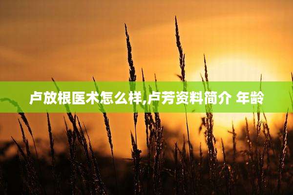 卢放根医术怎么样,卢芳资料简介 年龄