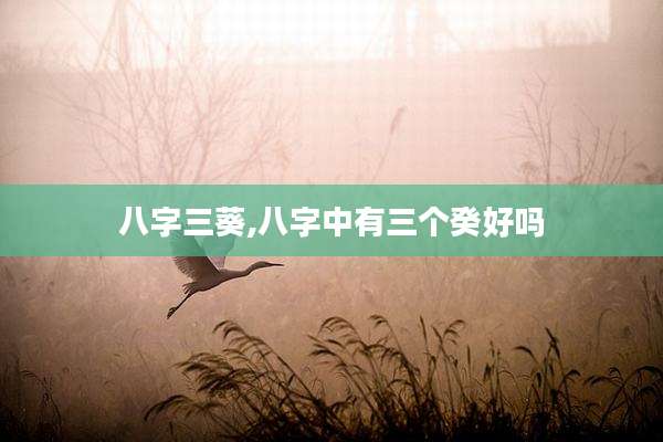 八字三葵,八字中有三个癸好吗