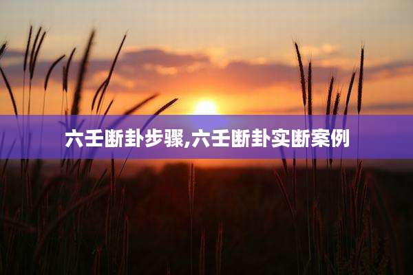 六壬断卦步骤,六壬断卦实断案例
