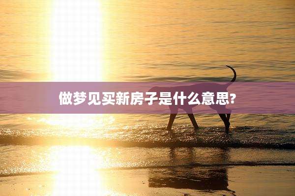 做梦见买新房孑是什么意思?