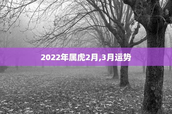 2022年属虎2月,3月运势