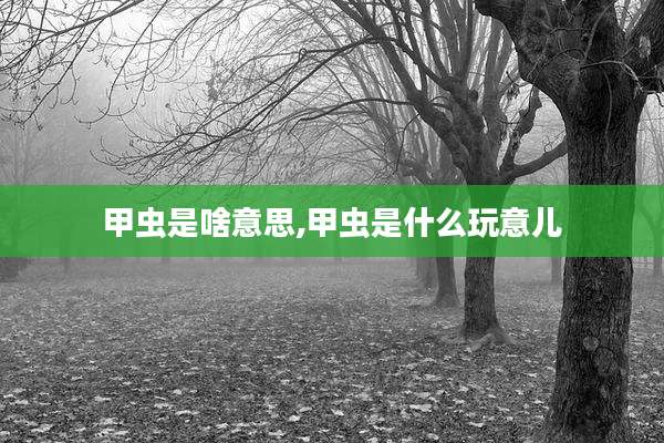 甲虫是啥意思,甲虫是什么玩意儿