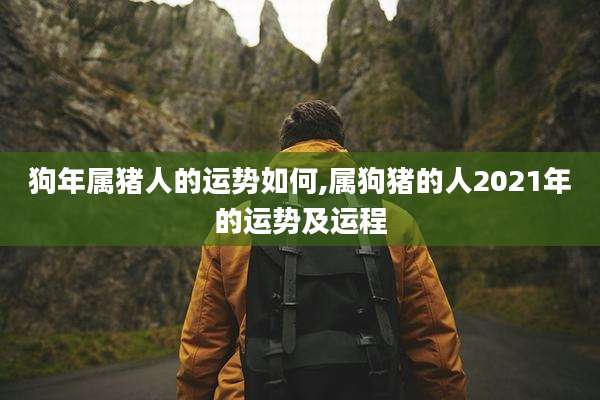 狗年属猪人的运势如何,属狗猪的人2021年的运势及运程