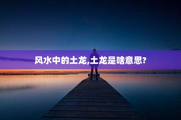 风水中的土龙,土龙是啥意思?