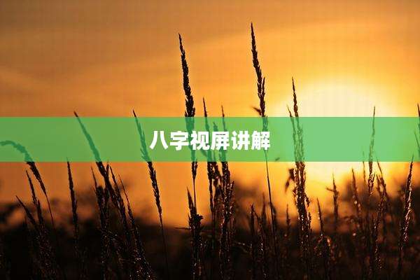 八字视屏讲解